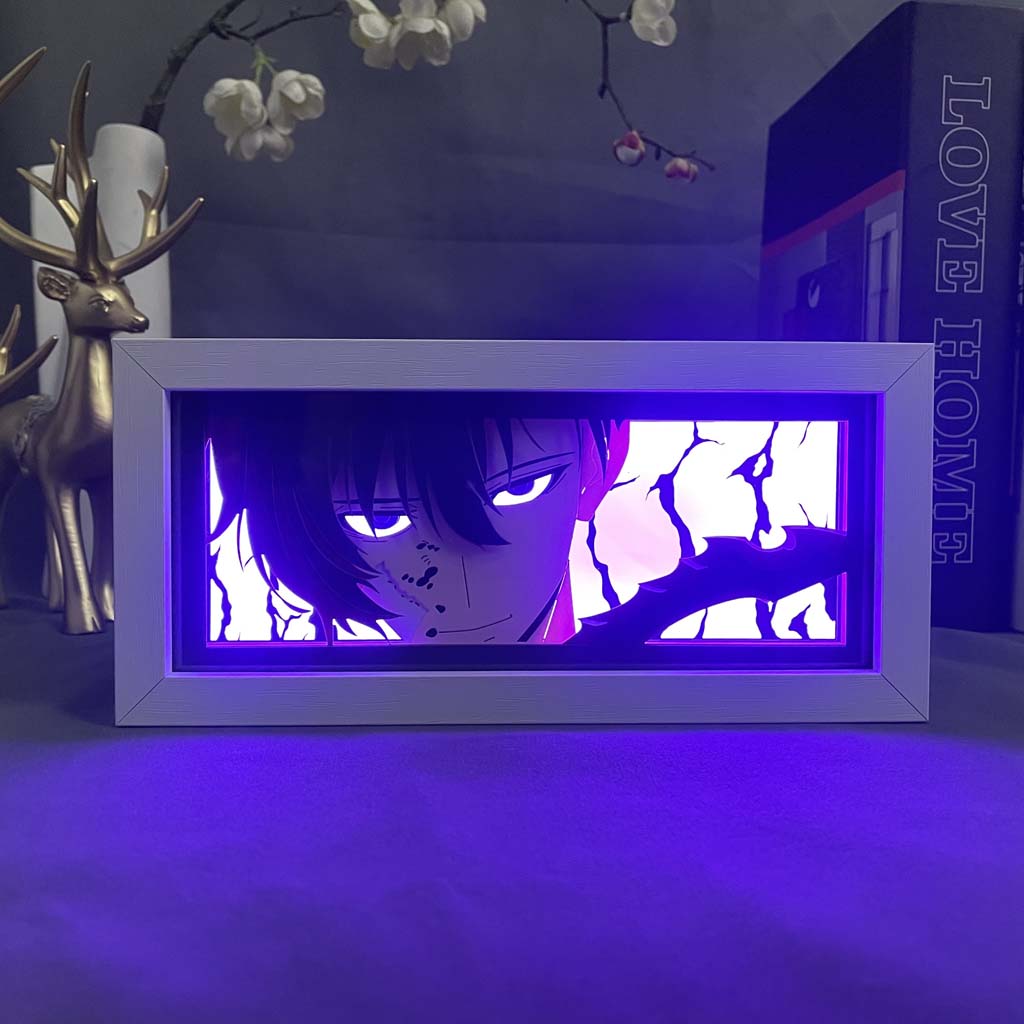 Solo leveling Anime Light Box