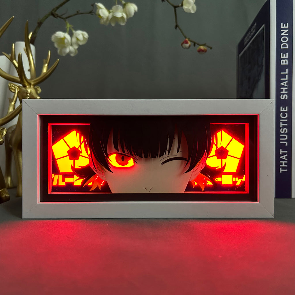 Seishiro nagi Anime Light Box