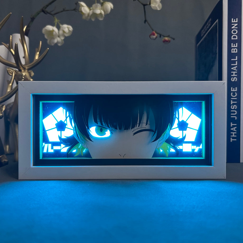 Seishiro nagi Anime Light Box