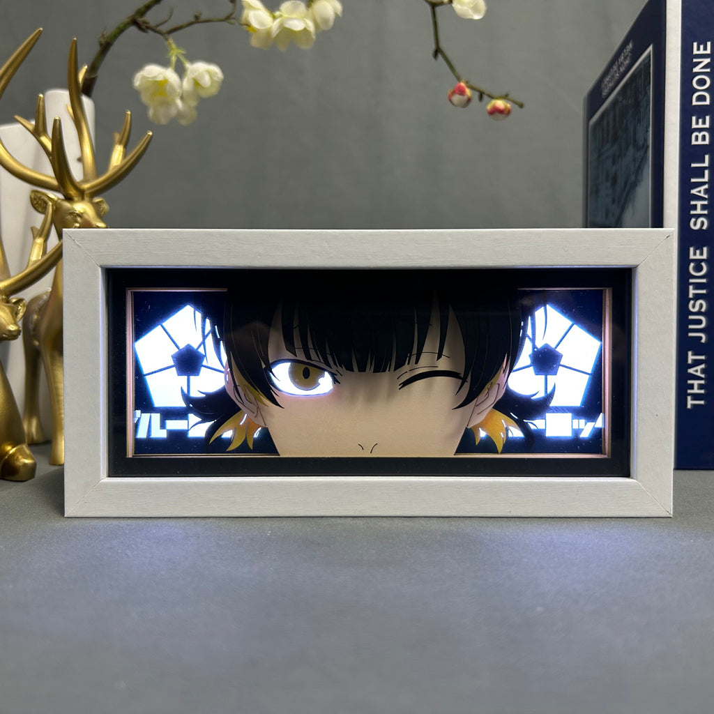 Seishiro nagi Anime Light Box