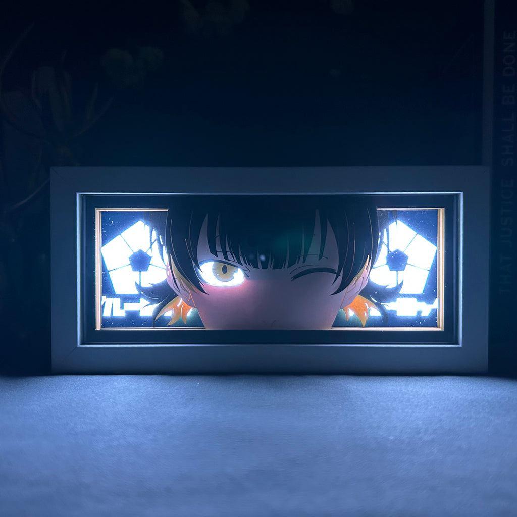 Seishiro nagi Anime Light Box